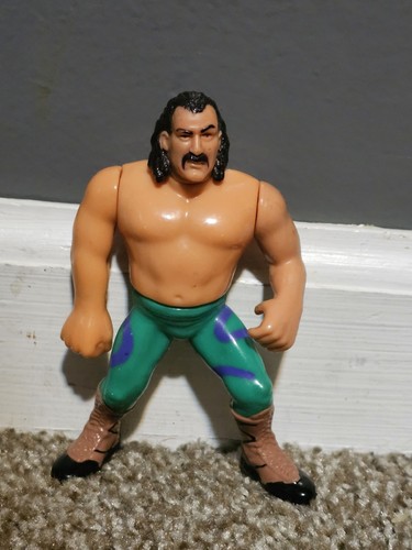 wwf JAKE ROBERTS SERIES 1 BLUE CARD wrestling HASB...