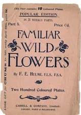 Botanical Antique Prints 1897 Wild Flowers  -7x5 in suitable for framing