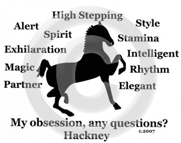 Hackney Pony Horse My Obsession Qualche domanda? T shirt Choices