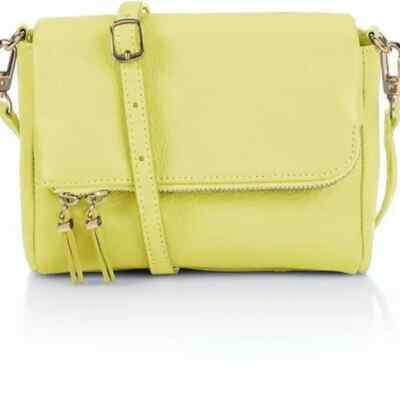 Talbots Citrus Leather Folder Crossbody Bag