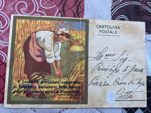 cartolina pubblicitaria consorzio agrario palermo 1924 viaggiata