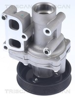 Triscan Wasserpumpe MotorküHlung 8600 43023 FüR Hyundai Santa KIA Sonata 5 NF LM