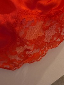 Vtg S Sears Isnt It Divine Half Slip Skirt Red Lace Union USA Nylon Lingerie