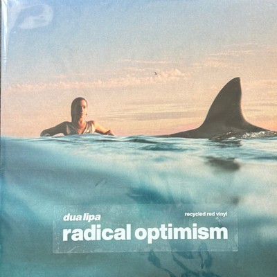 Dua Lips - Radical Optimism - Recycled Red Vinyl - 1 LP - CURATORS CHOICE