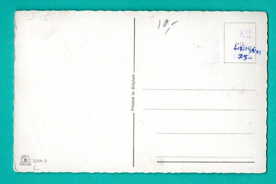 CAT CATS boxers VINTAGE POSTCARD 991 | eBay