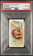 1900 Wills Wild Animals Of The World (Green Back) BADGER PSA 4 VG-EX