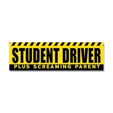 CafePress Car Magnet 10 x 3, Magnetic Bumper Sticker 197775922