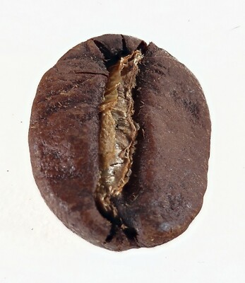 3 Kg Costa Rica Kaffeebohnen - frisch geröstet - Kaffee mit SL-Röstung NP120 
