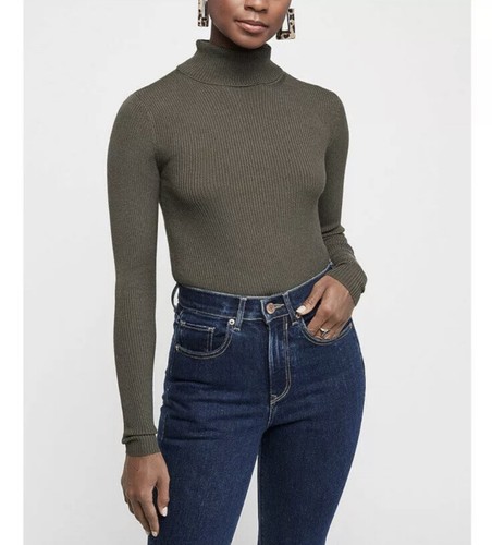 Express Turtleneck Sweater Long Sleeve 