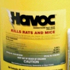 just one bite Havoc bait packs 