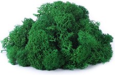 Lebendiges, konserviertes Naturmoos f&uuml;r Basteln und Deko, 100g