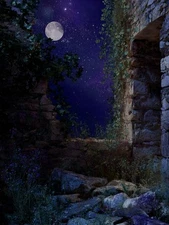 "Dream Castle 3" Fine ART GICLEE Hand Signed & Numbered By Artist