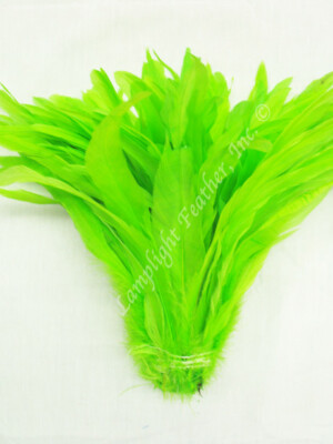 Lime Coque Rooster Tail Feathers 6-8 inch per Ounce