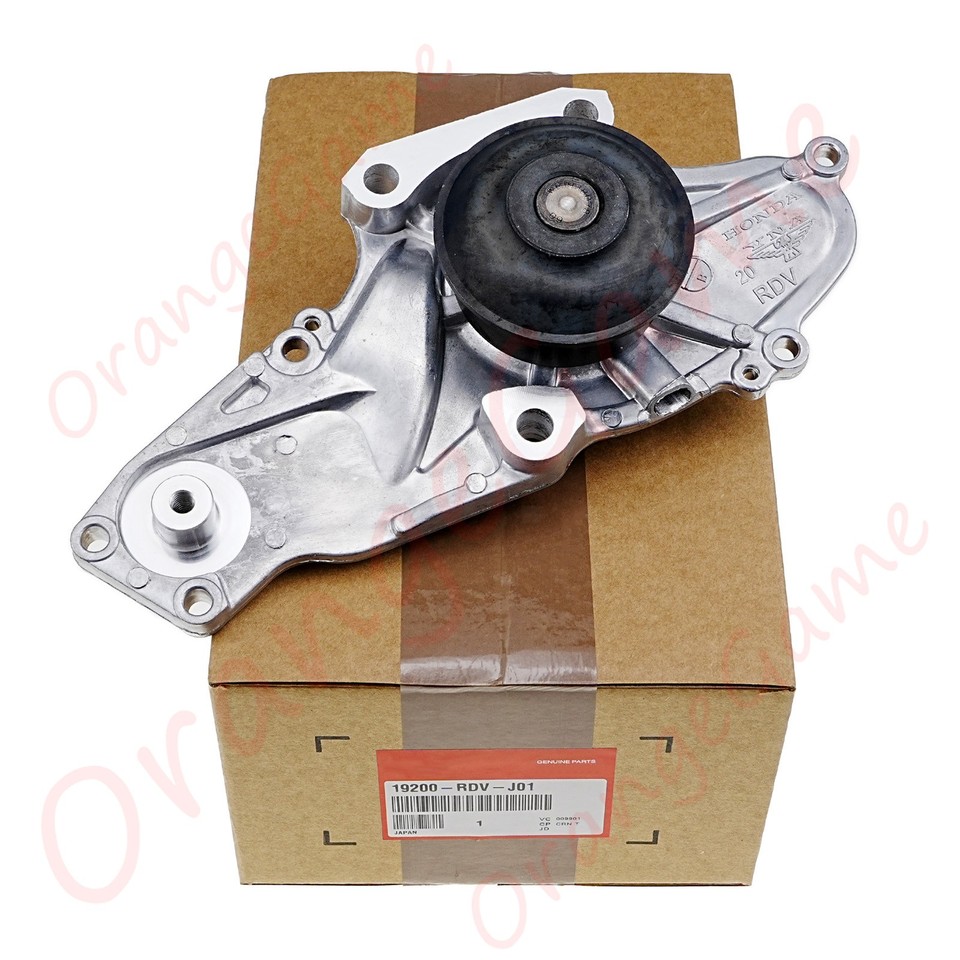 19200 Rdv J01 Timing Belt Kit 19200 Rdv J01 Timing Belt Kit