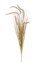 Artplants Kunst Borstenhirse Aivaras Auf Steckstab, Rispen, Creme-GrüN, 85Cm