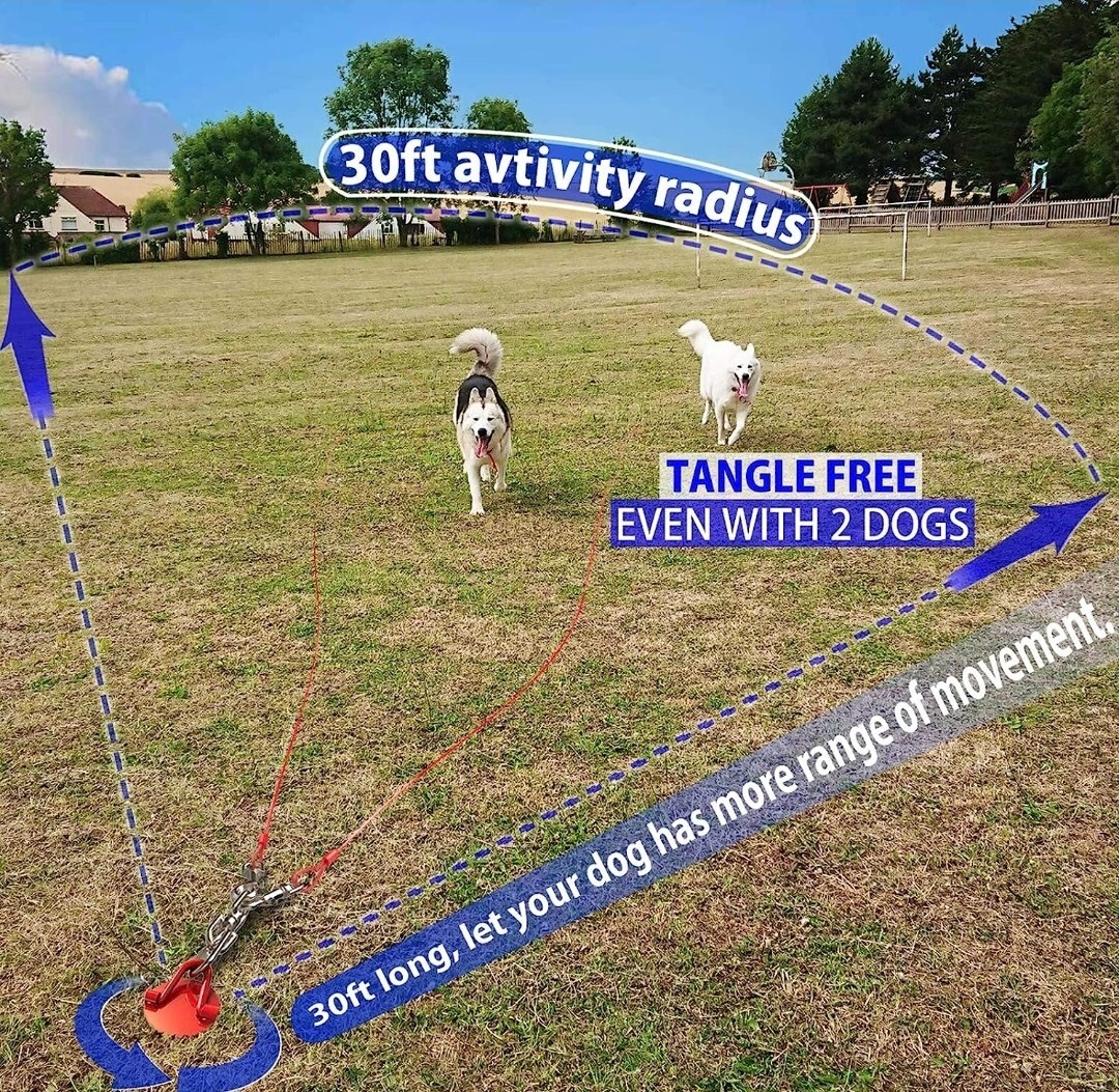 Retractable Leash Petbobi Big Pet Rope Line, 30ft Heavy Duty Dog