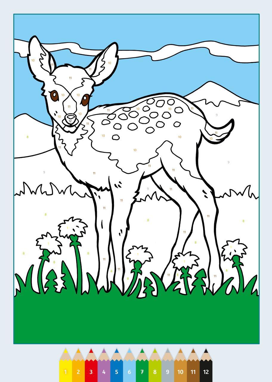 Thumbnail - Ravensburger Creart Malen Nach Zahlen Ab 5: Tierkinder, Malbuch, 24
