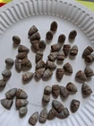 50 dug Colt revolver Civil War bullet lot