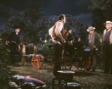 Bonanza Pernell Roberts Dan Blocker Michael Landon Lorne Greene night 24x36 post