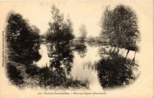 Old postcard Foret de FONTAINEBLEAU - Mare aux Pigeons (166772)