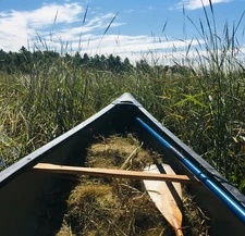 1 lb. Natural MINNESOTA Hand-Harvested Lake & River MN WILD RICE Wood Roasted
