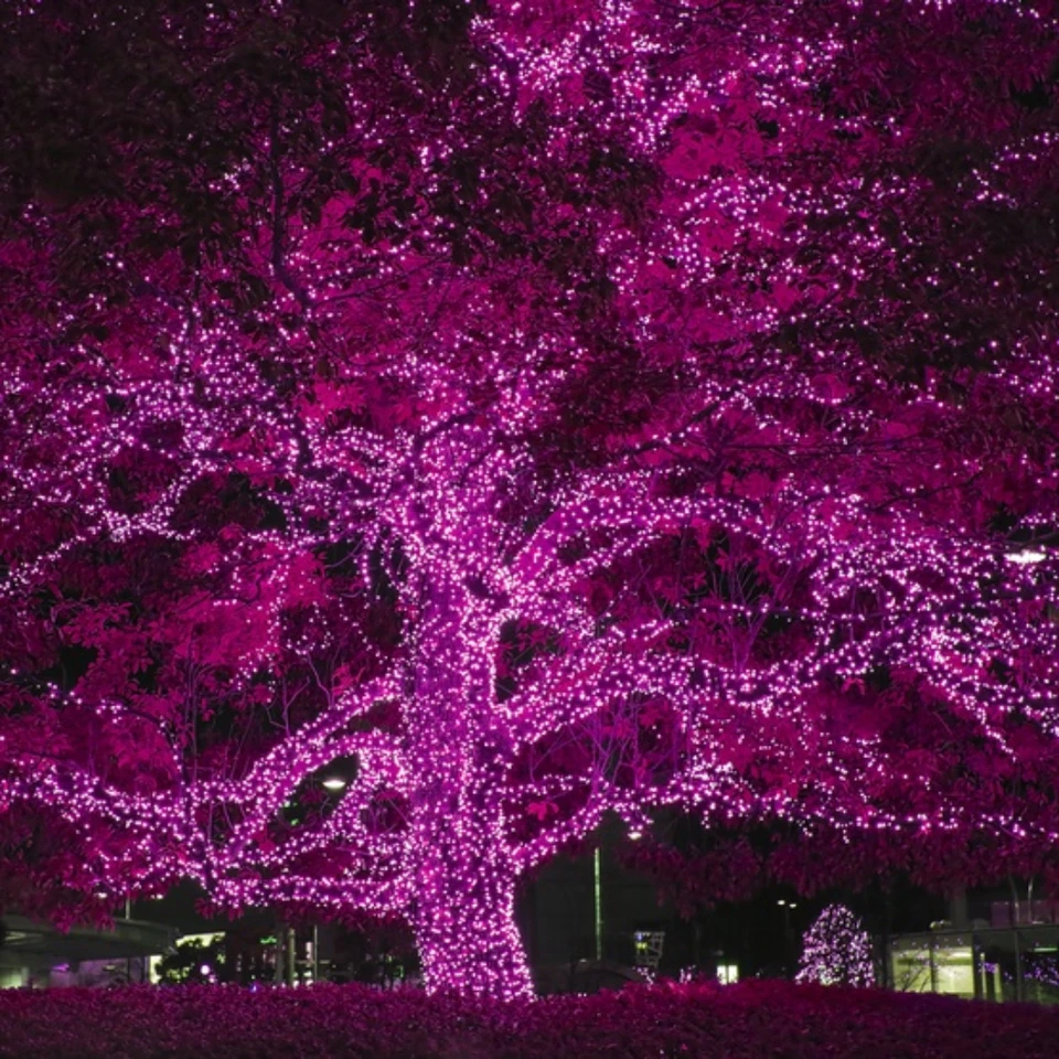 200 LED 20.9M PINK SOLAR CHRISTMAS WEDDING PARTY FAIRY STRING LIGHTS - image 4 of 4