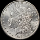 1881-CC Morgan Dollar Nice Uncirculated No Problems Carson City!
