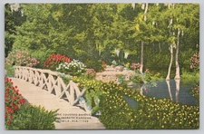 Vintage Linen Postcard Vine Covered Bridge Bellingrath Gardens Mobile AL