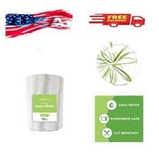 Everyday Paper Plates, 8.62 Inch, Disposable, 300 Count