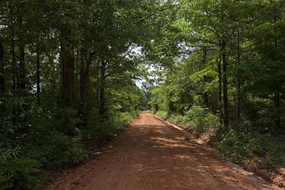 #ad Red Clay RoadRural Monroe CountyAlabamaSouthCarol HighsmithPhotographer $9.99