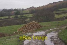 Photo 6x4 Fodder Beet pile near Duck House Low Mill/SE6795 The track lea c2008