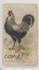 1907 Philadelphia Caramel Zoo Chickens E31 Silver-Laced Wyandotte Cock z6d