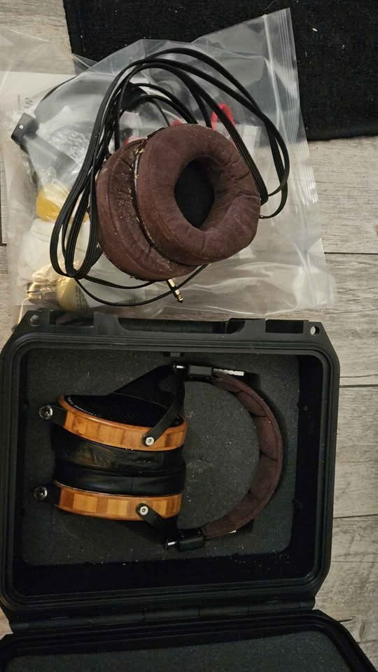 Audeeze Headphones