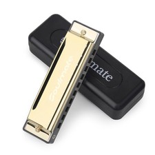 Blues Harmonica Mouth Organ 10 Hole 20 Tones C Key with Case Diatonic Harmoni...