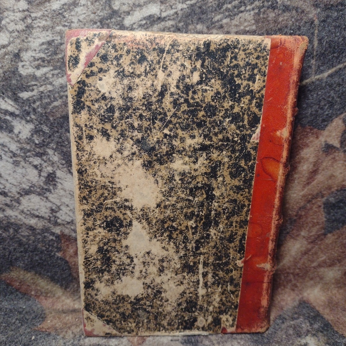 Picture 5 of 16