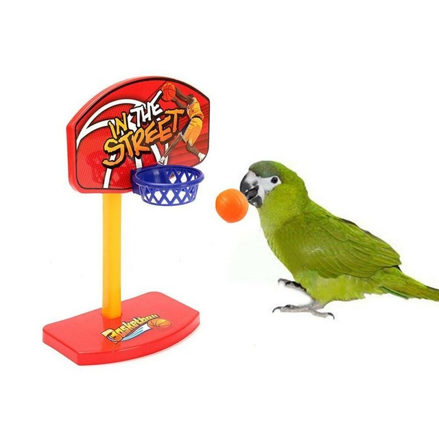 Bird Basketball Hoop eBay