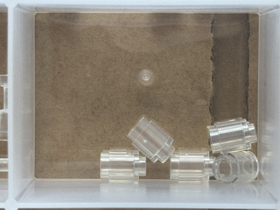 LEGO Parts - Trans-Clear Brick, Round 1 x 1 - No 3062 - QTY 5