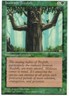 1X IRONROOT TREEFOLK GREEN 4TH FOURTH EDITION MTG MAGIC LP X1 (yourdeckbuilder)