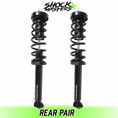 Rear Pair Complete Struts Coil Springs for 2001-2003 BMW 530i E39 Sedan