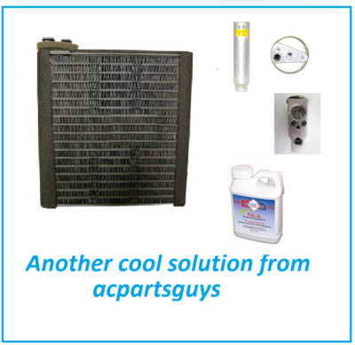 NEW AC Evaporator Drier Valve Oil Service Kit for KUBOTA  RTV1100CW 3A851-72100