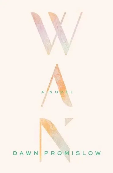 Wan | Dawn Promislow | Englisch | Taschenbuch | Kartoniert / Broschiert | 2022-image