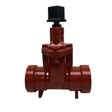 619RW - 250 W 3" PUSH  ON RESILIENT WEDGE GATE VALVE