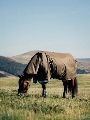 LeMieux Arika Ripstop 0g Lightweight Light Turnout Rug + Hood 600d 4'9"-7'3" - Picture 5 of 10