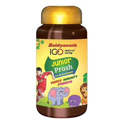 Baidyanath Junior Prash speziell formulierter Chyawanprash für Kinder 500g