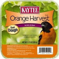11.75oz Kaytee Orange Harvest Suet Dough - Delicious Feeding for All Birds