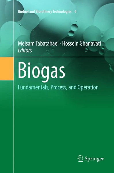 Meisam Tabatabaei (U. A.) | Biogas | Taschenbuch | Englisch (2019) | Viii-image