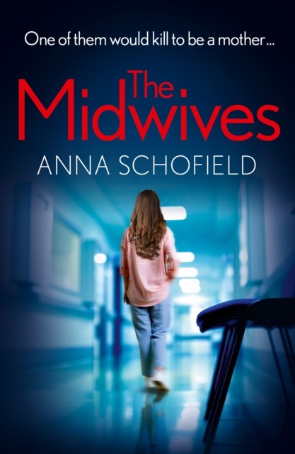 The Midwives: New in autumn 2024, the pulse-pounding psychologic - Image 4