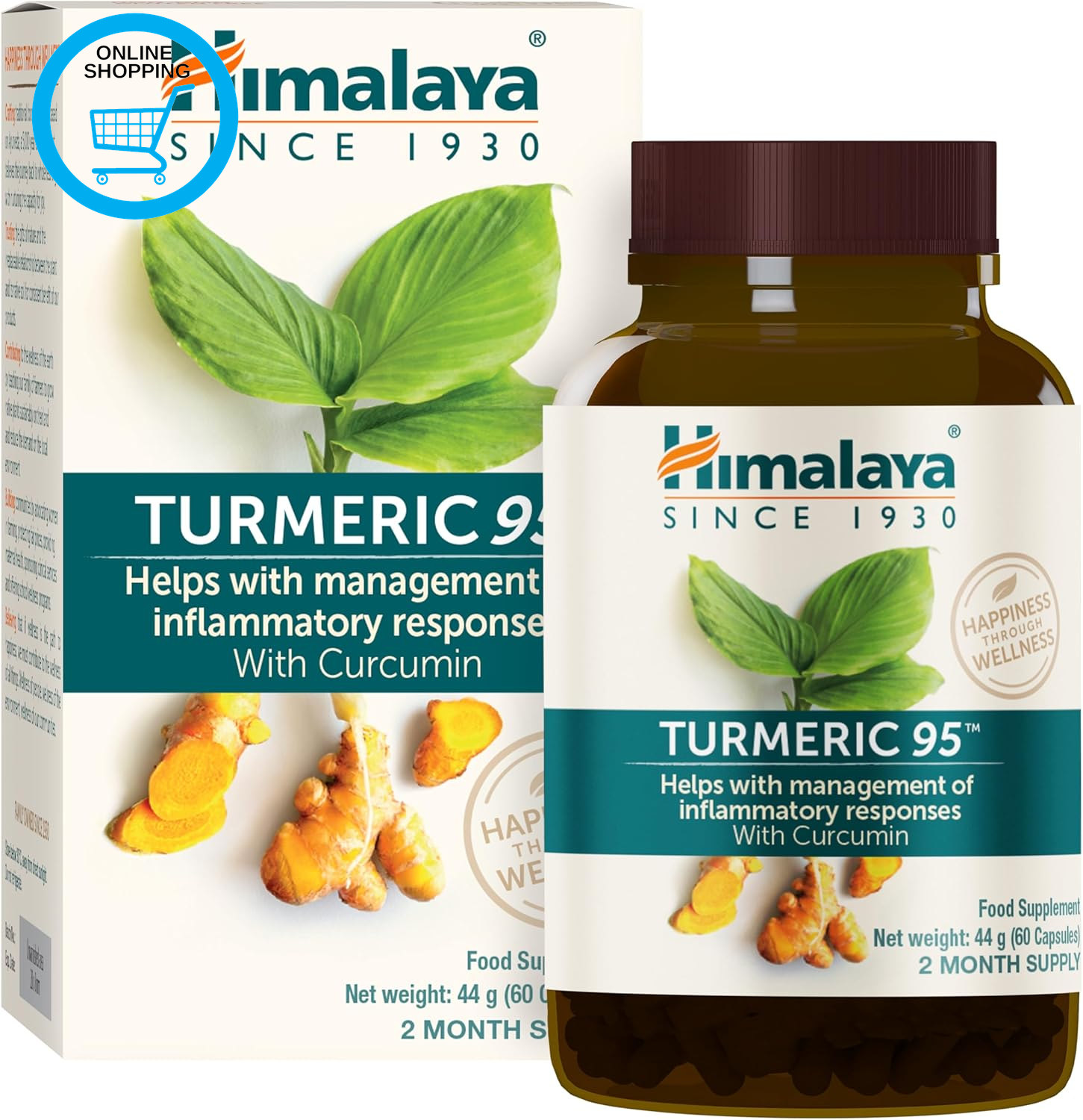 Turmeric 95 Supplement with Curcumin/Curcuminoids,Supports Immune System, Resist