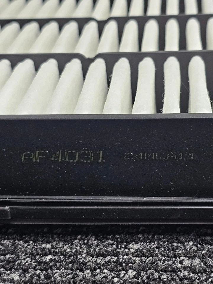 Filtro de aire PARTS PLUS AF4031 para Toyota Land Cruiser Tundra Sequoia 2007-2019 Foto 4 de 4