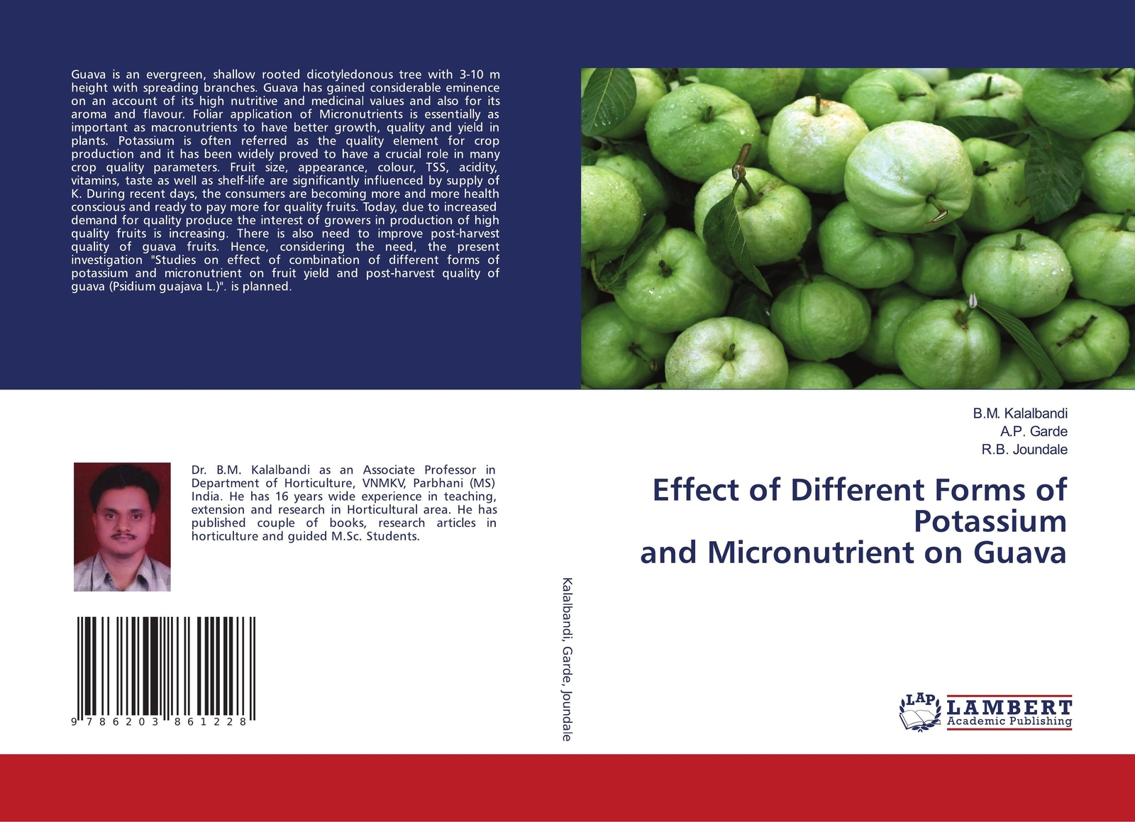 Thumbnail - Effect Of Different Forms Of Potassium And Micronutrient On Guava